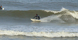 100305pm-taito1.jpg