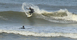 100305pm-taito2.jpg