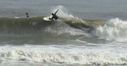 100305taito1.jpg