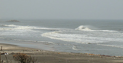 100321eagle1.jpg