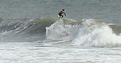100401eagle1.jpg