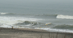 100407eagle1.jpg