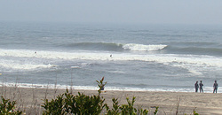 100419eagle1.jpg