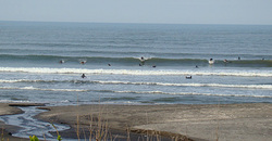 100421pm-taito1.jpg