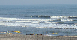 100426eagle1.jpg