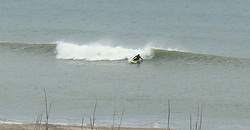 100507eagle1.jpg