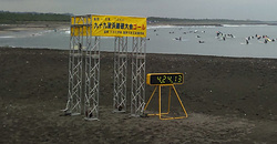 100605walk.jpg