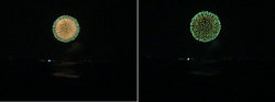 100807pm-fireworks.jpg