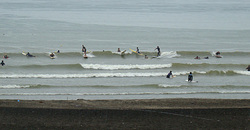 100809taito1.jpg