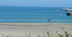 100831noon-taito.jpg