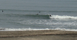 101220-taito1.jpg
