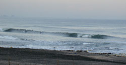 101230pm-eagle1.jpg