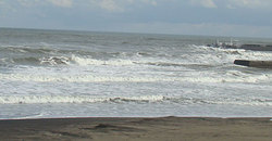 110103taito1.jpg