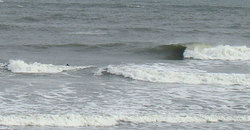 110104taito1.jpg