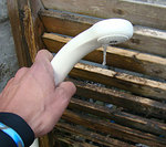 110111eagle1.jpg