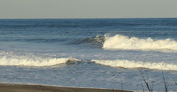 110119pm-eagle1.jpg
