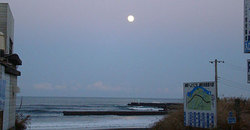 110119pm-taito2.jpg