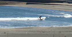 110131taito2.jpg