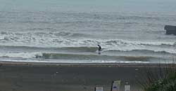 110209taito1.jpg