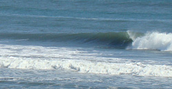 110216eagle2.jpg