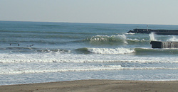 110216taito1.jpg