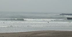 110217taito1.jpg