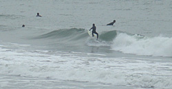 110220eagle1.jpg