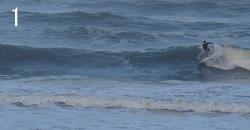 110223pm-taito-l1.jpg