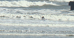 110223taito1.jpg