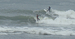 110224pm-taito2.jpg
