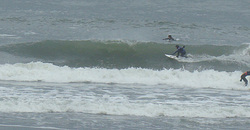 110224pm-taito3.jpg