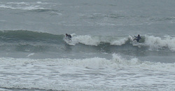110224pm-taito5.jpg