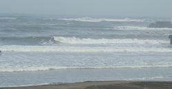 110224taito1.jpg