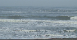 110224taito3.jpg