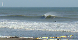 110225eagle1.jpg