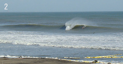 110225eagle2.jpg