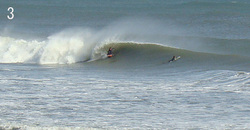 110225eagle3.jpg
