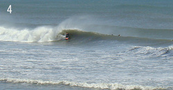 110225eagle4.jpg