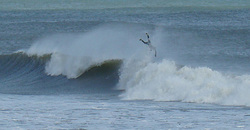 110225eagle6.jpg