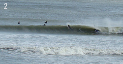 110225taito-c2.jpg