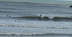 110225taito1.jpg