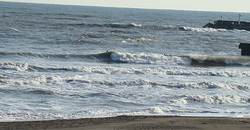 110226taito1.jpg