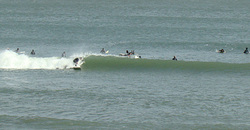 110227eagle1.jpg