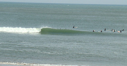 110227eagle2.jpg