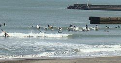 110227taito1.jpg