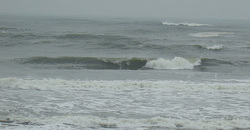 110301pm-taito1.jpg