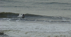 110302pm-eagle1.jpg