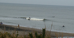 110306pm-eagle1.jpg