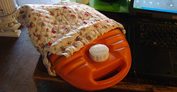 110308taito2.jpg