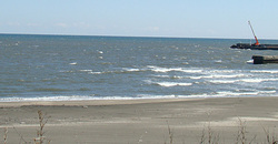 110310taito1.jpg